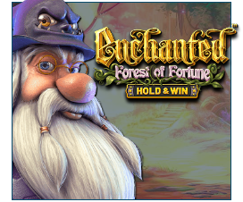 Enchanted Forest of Fortune: Hold and Win