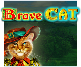 Brave Cat