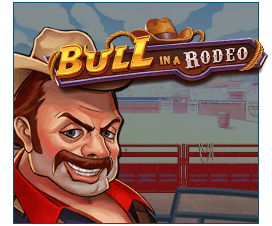 Bull in a Rodeo