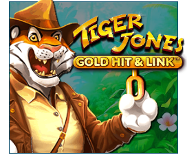 Gold Hit & Link: Tiger Jones