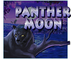 Panther Moon