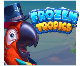 Frozen Tropics