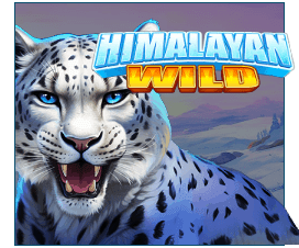 Himalayan Wild