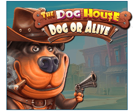 The Dog House - Dog or Alive