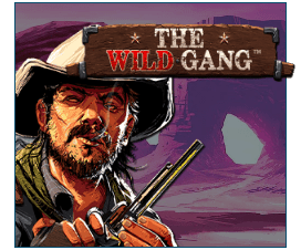 The Wild Gang