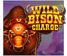 Wild Bison Charge