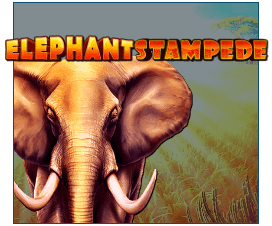 Elephant Stampede